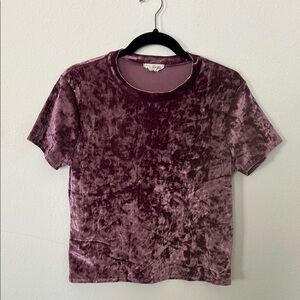 Velvet Short Sleeve Top - Purple